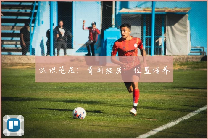 认识范尼：青训经历：位置培养